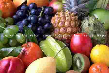 Exploring the Melon Travel Industry: Key Trends, Major Players, Challenges, and Growth Prospects