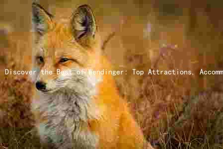 Discover the Best of Wendinger: Top Attractions, Accommodations, and Cultural Highlights