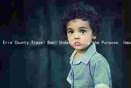 Erie County Travel Ban: Understanding the Purpose, Impact, Reasons, Consequences, and Alternatives