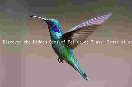 Discover the Hidden Gems of Pellucid: Travel Restrictions, Attractions, Customs, Safety, and Transportation