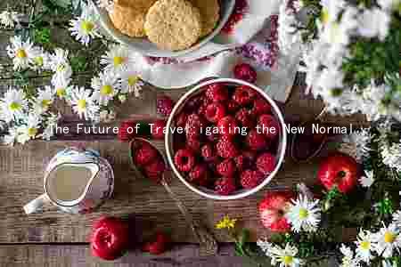 The Future of Travel:igating the New Normal