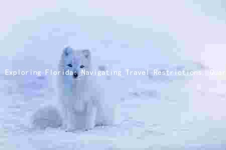 Exploring Florida: Navigating Travel Restrictions, Quarantine Requirements, Accommodations, Transportation, and Activities Amid COVID-19